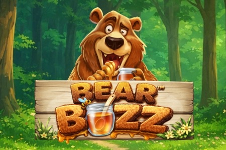 Bear Buzz